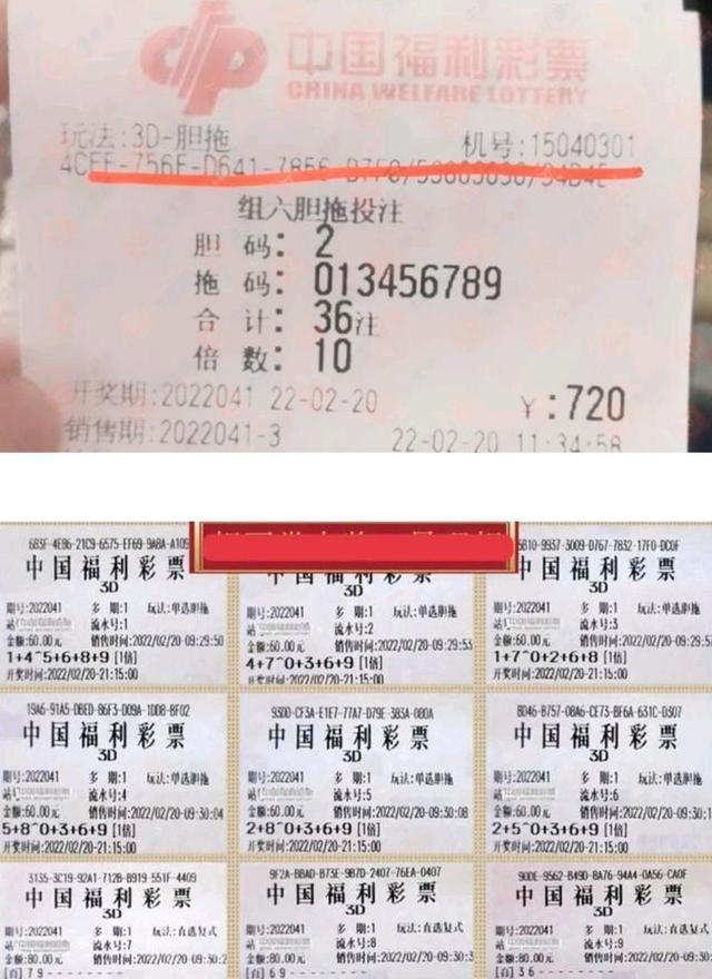 新澳门彩精准一码内,释意性描述解_CNE50.831家庭版