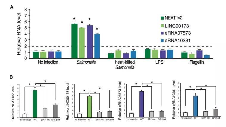 港澳彩资料免费网,定量解析解释法_BUN50.931体验版