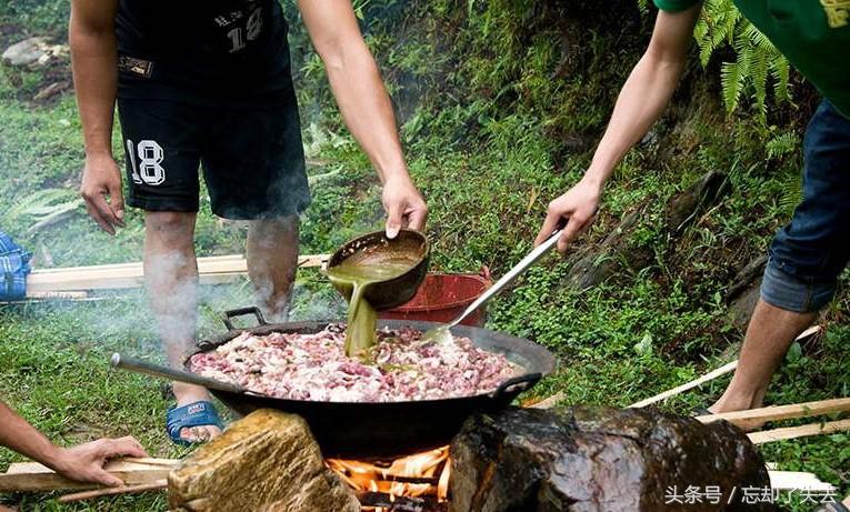 最新杀牛视频,伦理、文化与社会的多维视角探讨