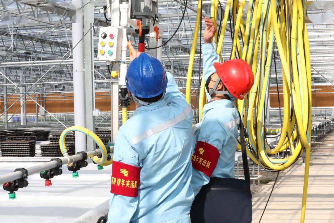 草海机场最新动态揭秘，建设进展、航班信息及未来展望