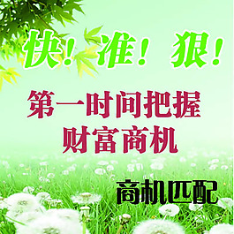 把握未来经济黄金点,最新致富商机解析