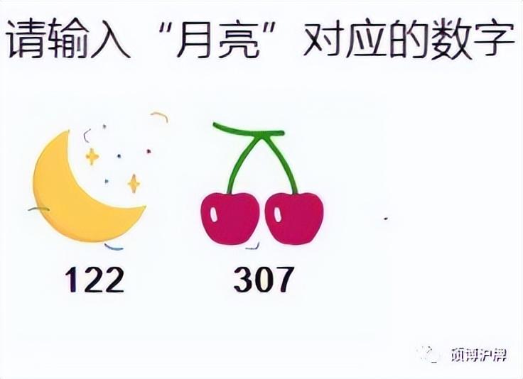 最新沪牌价格揭秘,小巷中的特色小店探秘
