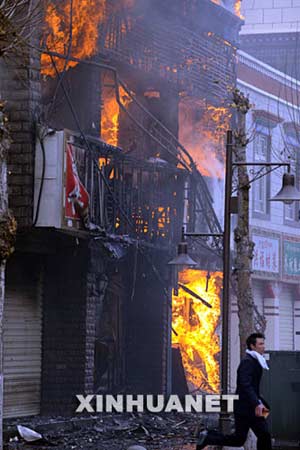 西藏最新事件，雪域高原的温馨日常观察