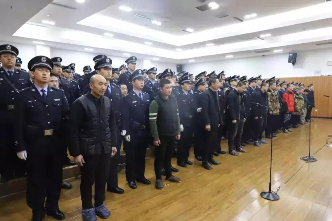 天津开庭最新公告概览