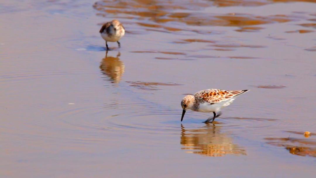 唐山滦南未来蓝图揭秘，最新规划引领城市发展