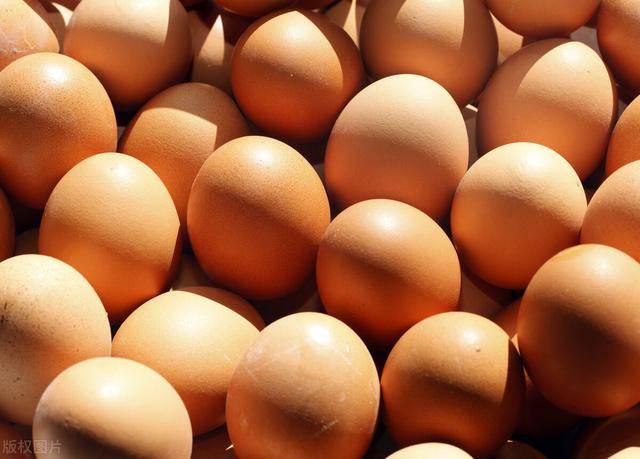 肇东鸡蛋价格最新动态,跟随自然脚步,重拾内心宁静与平和的探索之旅