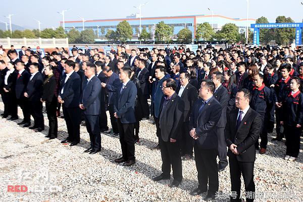 韶山红网最新动态,观点阐述与深度解析