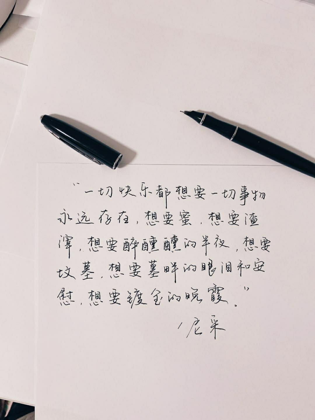 巷弄深处的独特小店之旅，最新原创句子迷探索之旅