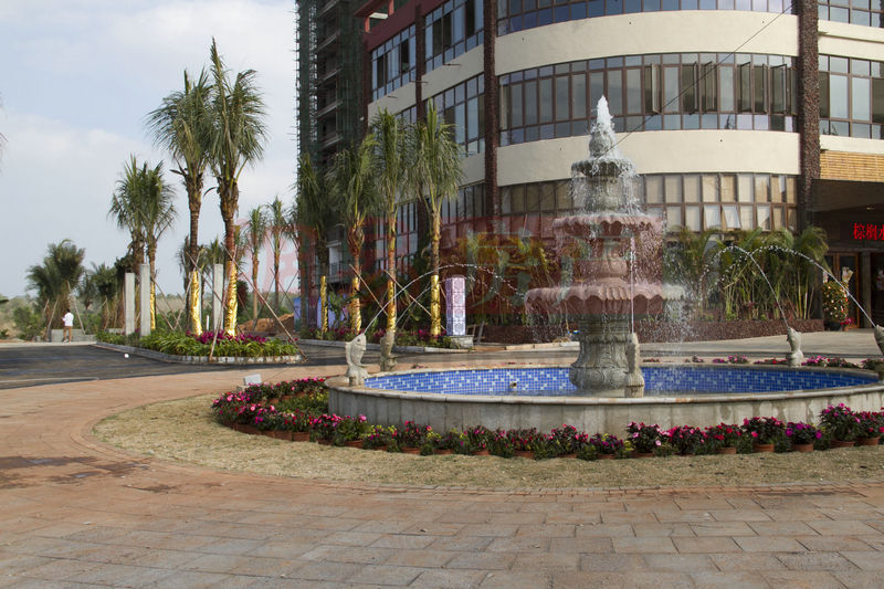 棕榈水城最新动态，塑造理想生活新标杆！