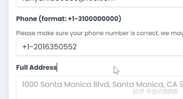 探索未来域名变革趋势,揭秘2024最新域名后缀