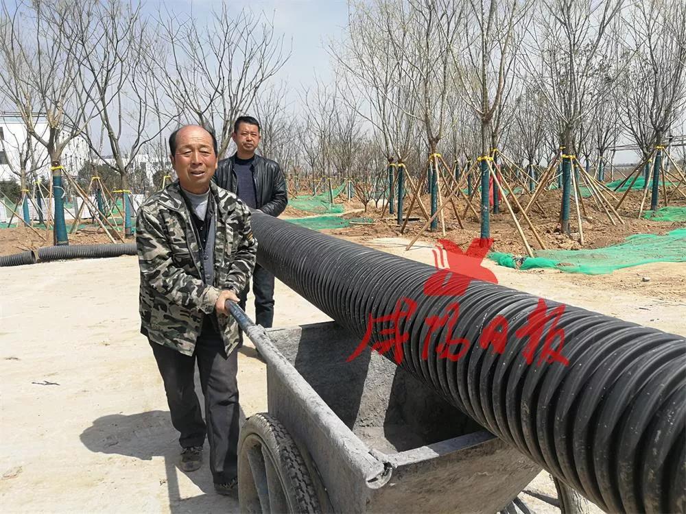 咸阳保洁招聘热潮,背景分析及其影响