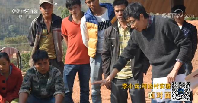 农大肥料最新价格揭秘,小巷深处的绿色宝藏之旅