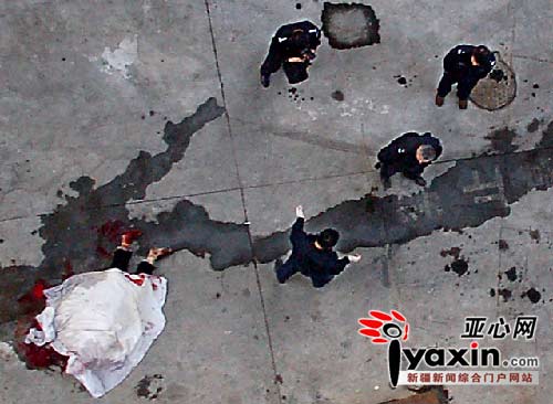 刘强玛纳斯坠楼原因分析,专家权威解答_UTT23.793编辑版