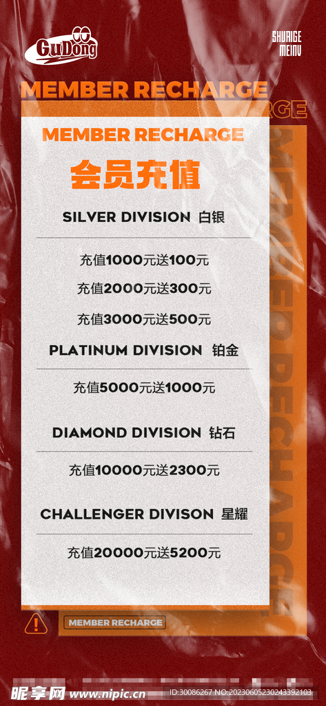 2024最新奥马免费资料四不像,安全设计解析说明法_MLZ23.255先锋版