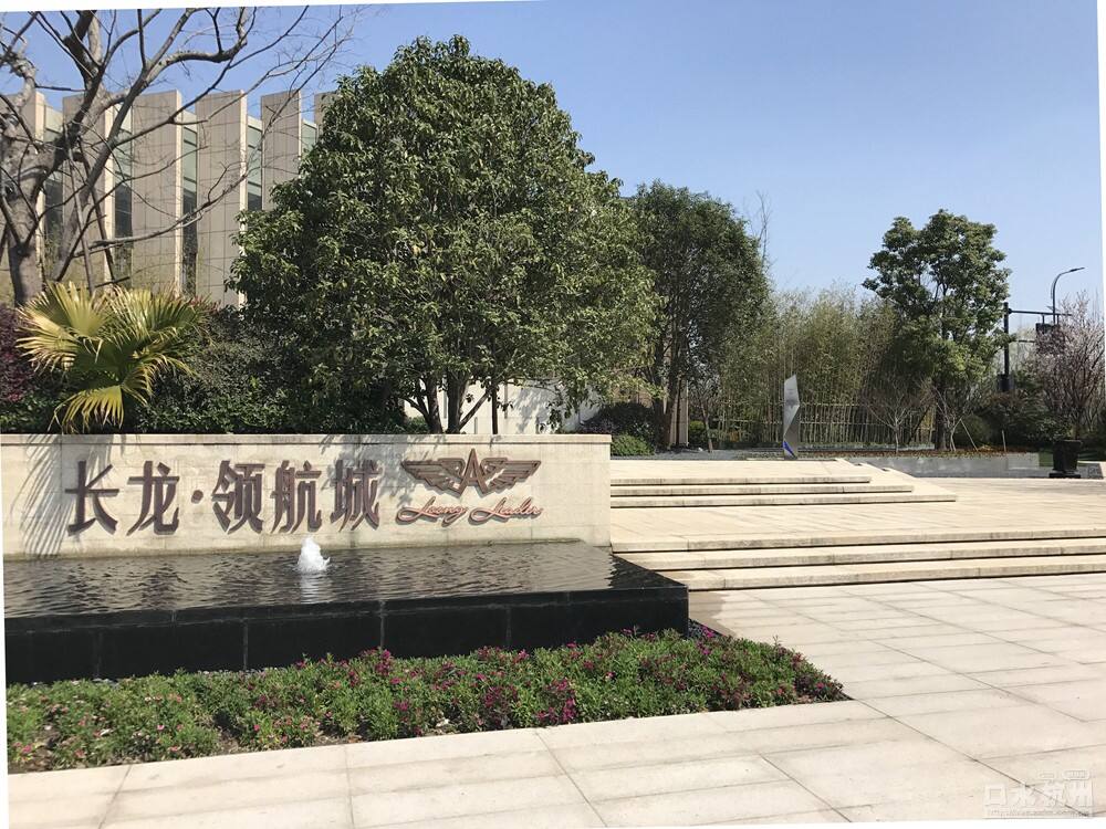 长龙领航最新动态，驾驭变革，开启知识海洋的励志之旅