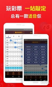 管家婆是肖八吗,方案优化实施_AXP23.575影像版