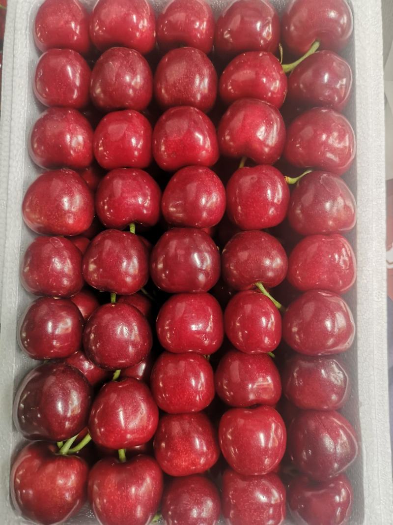 工程厂房灯具 第341页