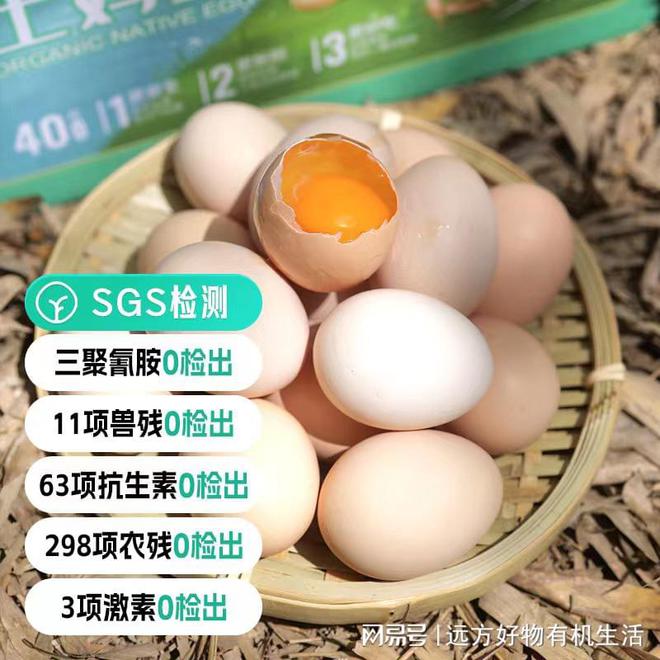 土鸡蛋最新价格获取与理解步骤指南