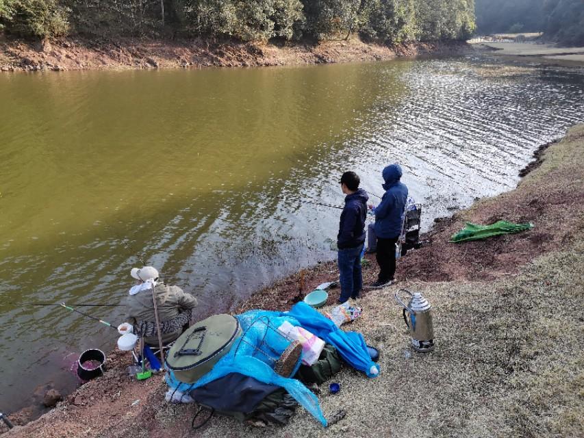 最新水库钓鱼视频,探索钓鱼乐趣与技巧全攻略