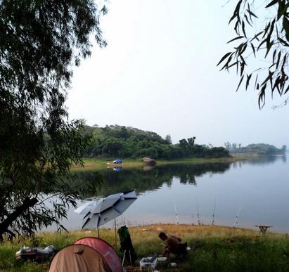 最新水库钓鱼视频,探索钓鱼乐趣与技巧全攻略