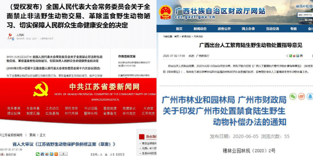 管家婆精准期选一肖福利活动,实际调研解析_BDE27.204跨界版