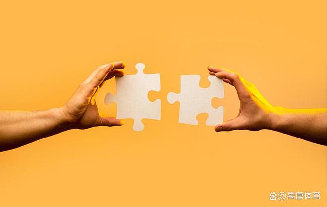 时代浪潮下的体育新纪元,有料体育最新推荐