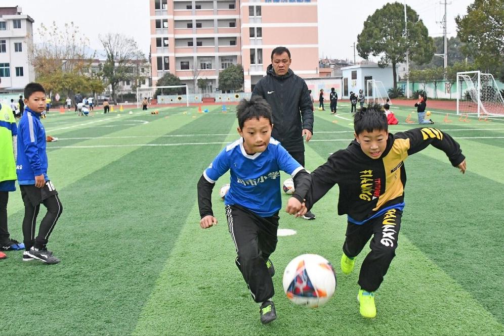 萧县最新招标信息解析与动态速递