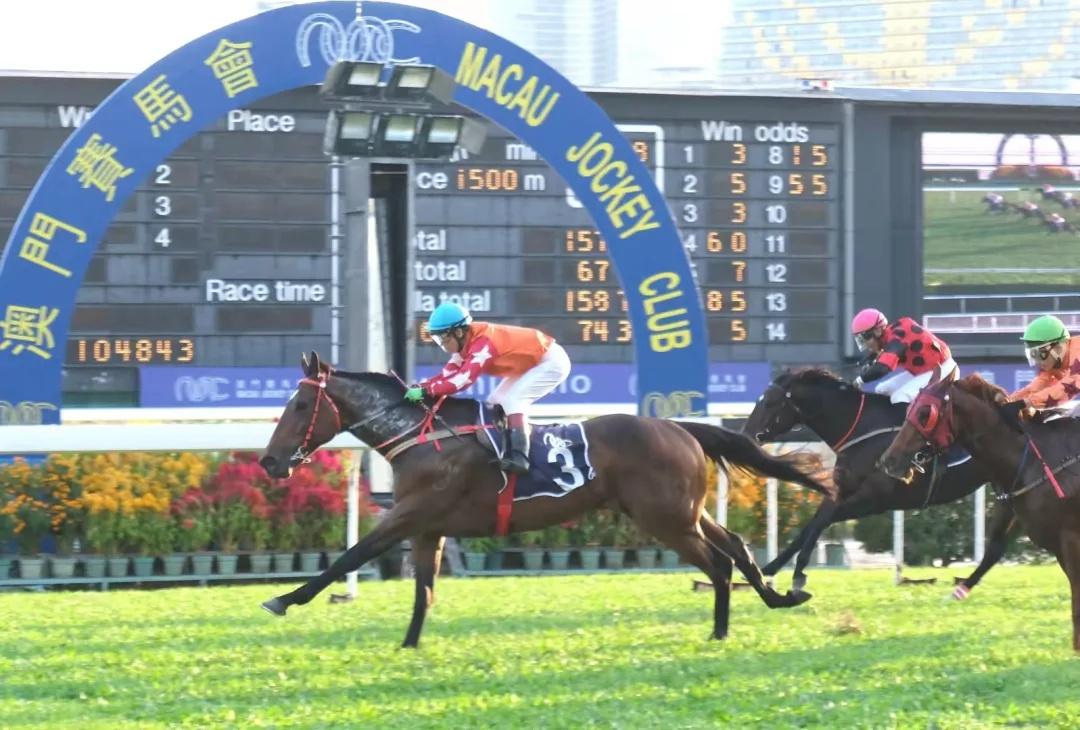 马会澳门一传真,专业解读方案实施_CSF27.813原创版