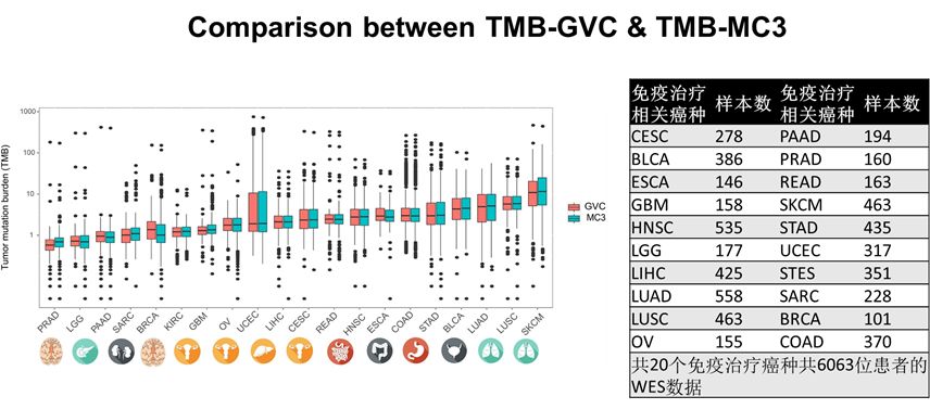 王中王375959cm开奖结果,数据驱动决策_SLF27.152融合版