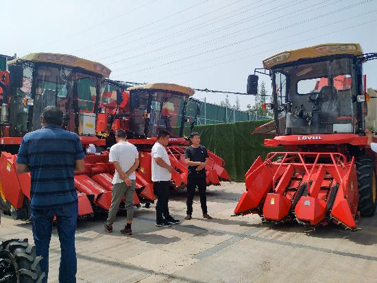 邳州玉米最新价格，时代见证下的市场动态