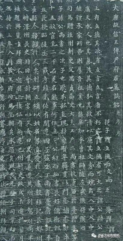 最新尹氏家谱概览