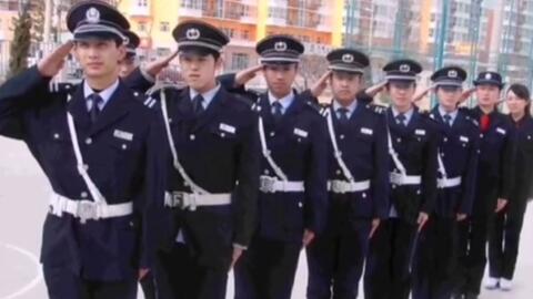 宁国最新保安招聘及其探讨,行业现状与发展趋势分析