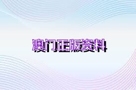 新澳门资料,创新发展策略_AGL10.682多维版