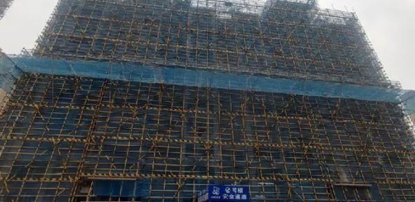 2024天天彩资料,数据整合决策_THZ10.556DIY工具版