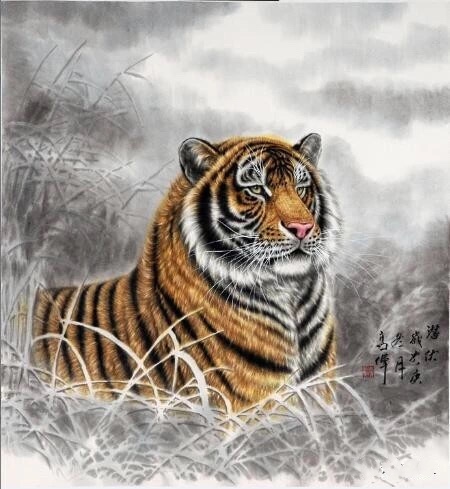 2024澳门白老虎正版资料,数据驱动决策_UJB10.354动图版