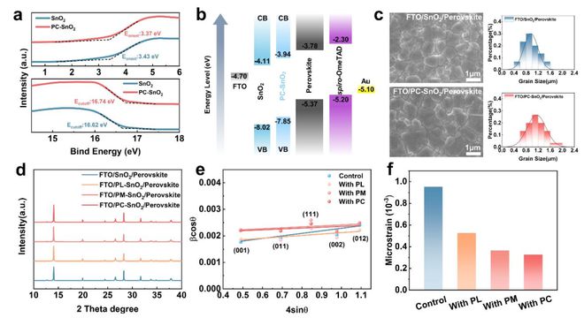 新粤门六舍彩资料免费,高效性设计规划_GDA10.649轻量版
