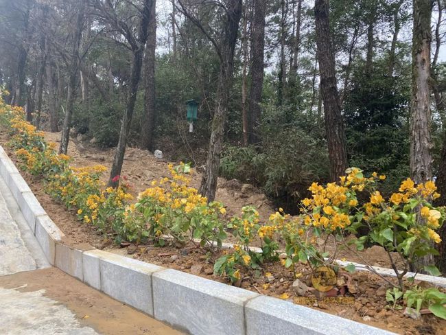 桂平手工，传统与创新的完美交融