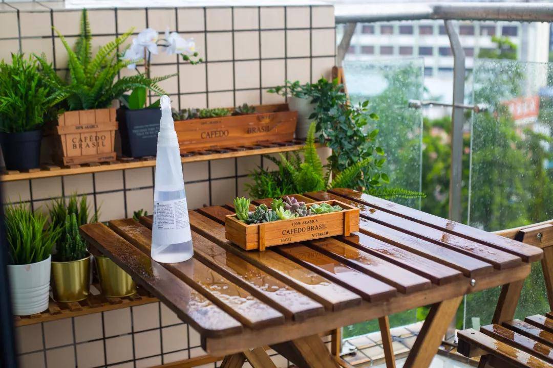 澳门今晚上必开一肖,快速解答方案设计_BBH10.637曝光版