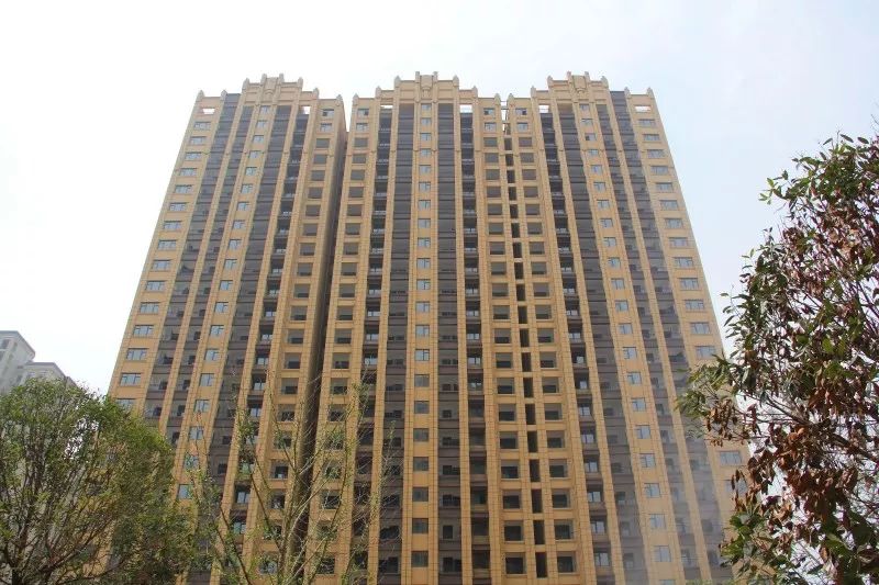 紫荆城邦最新动态，揭开未来生活新篇章的序幕