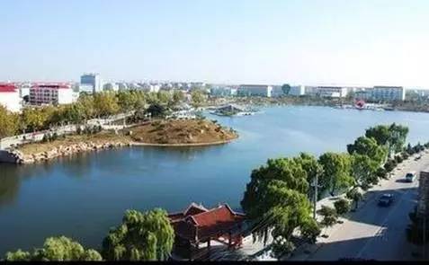 宁阳最新楼盘，市场热度与个人立场考量分析