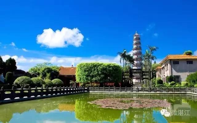 雷州最新楼盘概览,市场现状与前景展望