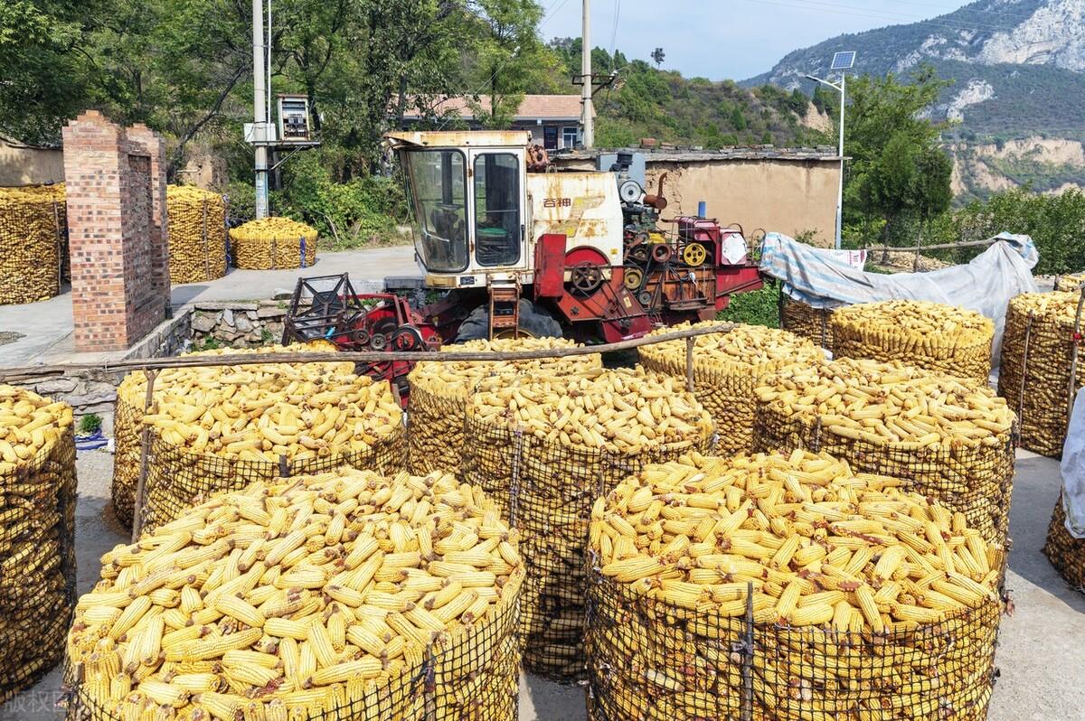 灯饰灯具 第325页