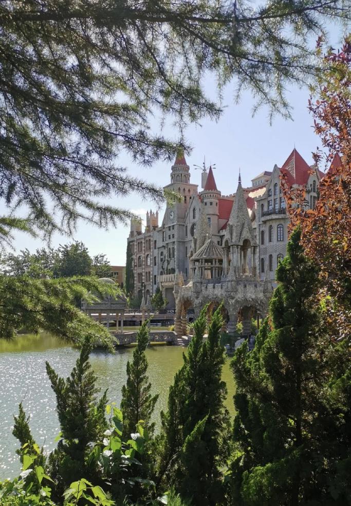 城中园林最新公告发布,更新动态与资讯汇总