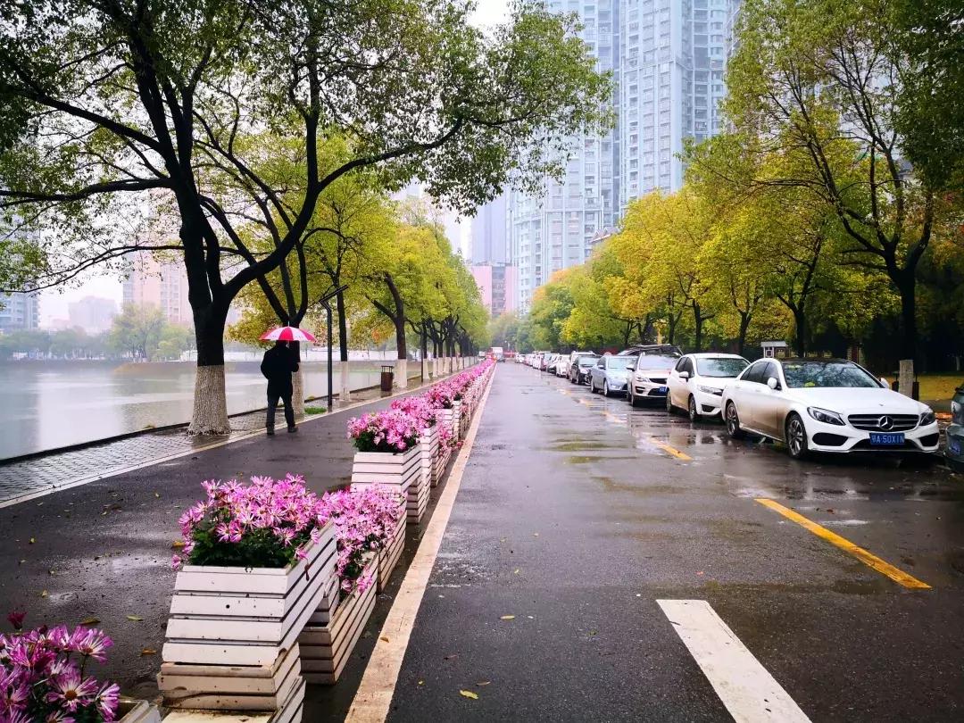 城中园林最新公告发布,更新动态与资讯汇总