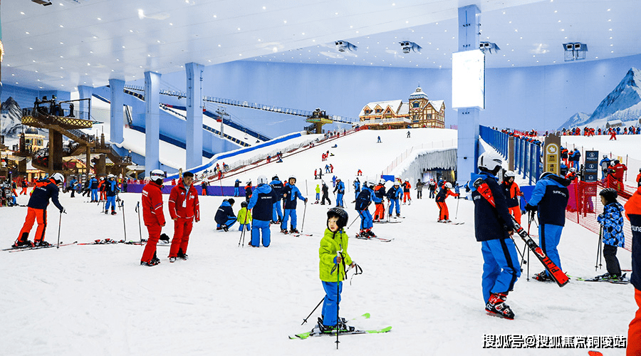 2024六何彩生肖图开奖结果查询,科学依据解析_XOJ83.285温馨版