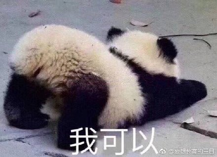 今晚四不像必中一肖图118,全身心解答具体_WTF83.578专业版