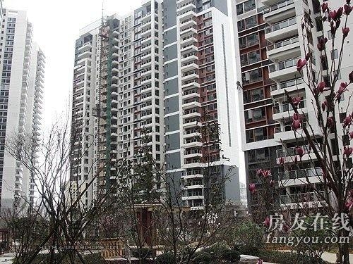 绿地长岛公寓最新价格揭秘,小巷深处的隐藏宝藏