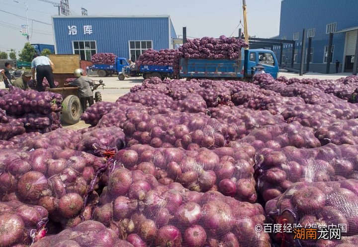 工程厂房灯具 第306页