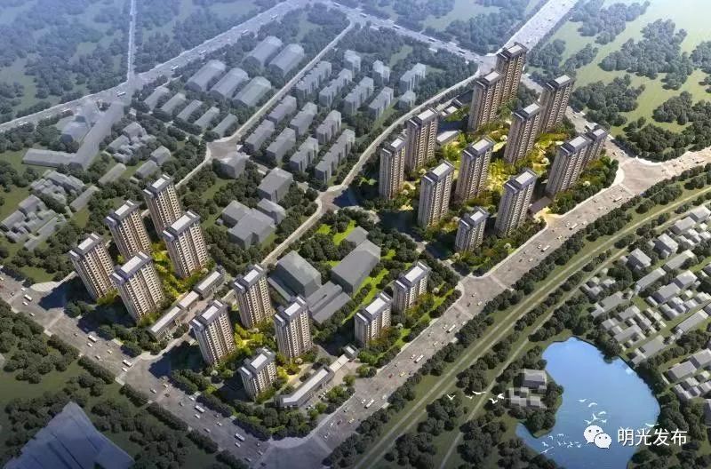 明光东郡最新动态,友情的绽放与家的温馨日常