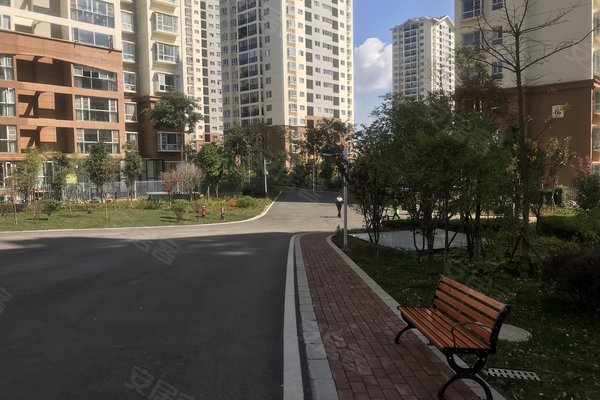 建礼家园最新动态，小巷中的隐藏瑰宝揭秘
